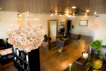 Salon Image